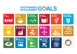 UN Sustainability Goals logo